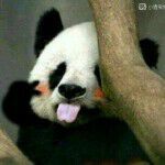 鱼仔妈妈主播照片