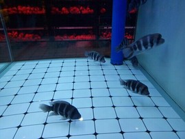 千容女郎主播照片