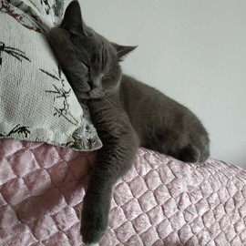 吃货🐽猪猪^O^主播照片