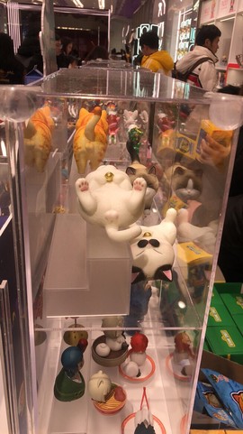 LiguoanR10主播照片