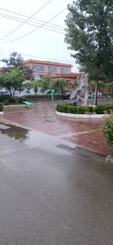 雪域雄鷹⭐奕辰⭐主播照片