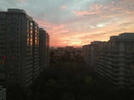 stardusybW主播照片