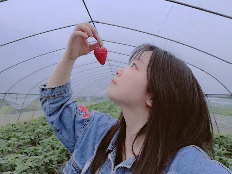 oO萝莉Oo的主播海报