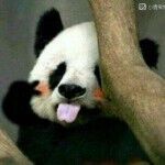 ♬怪大叔♬主播照片
