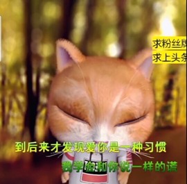 萌萌哒猎手主播照片