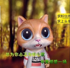 萌萌哒猎手主播照片