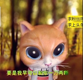 萌萌哒猎手主播照片
