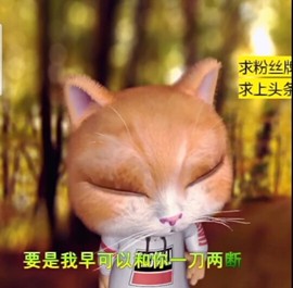 萌萌哒猎手主播照片