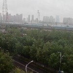 你不是我的白衣少年