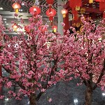 妙笔生🌸桃花🌸