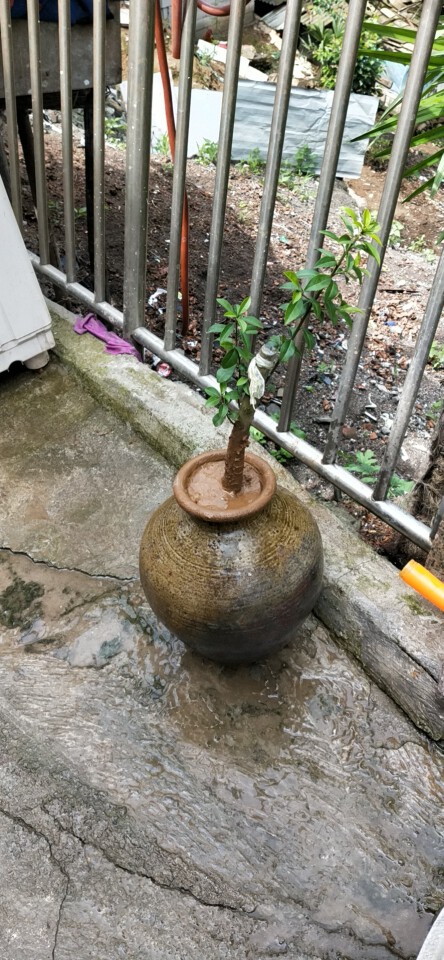 。老农民的主播照片