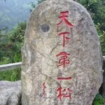 【自樂】天下文玩