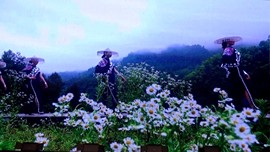 俊哥大侠主播照片
