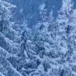 山间有爱