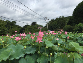 ～山水间🌴竹海～主播照片