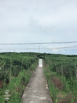 茶茶幸运星主播照片