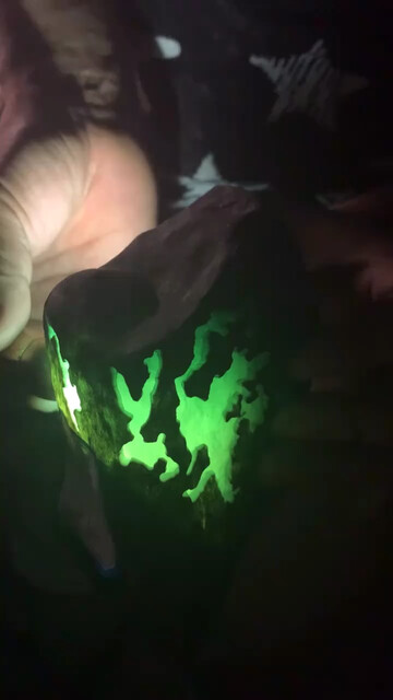 莫莫亮