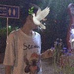 昵称违规，请重新修改