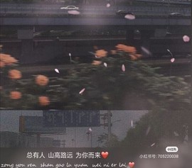 是不是这样的啊主播照片