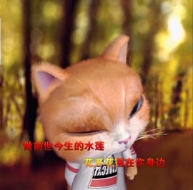 萌萌哒猎手主播照片