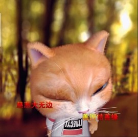 萌萌哒猎手主播照片