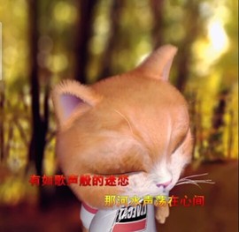 萌萌哒猎手主播照片