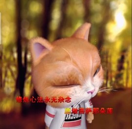 萌萌哒猎手主播照片