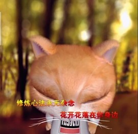 萌萌哒猎手主播照片