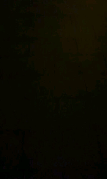 夜景点