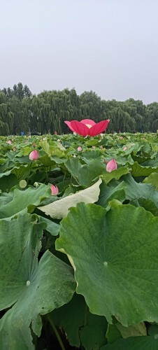 快乐的(農村小夥)主播照片