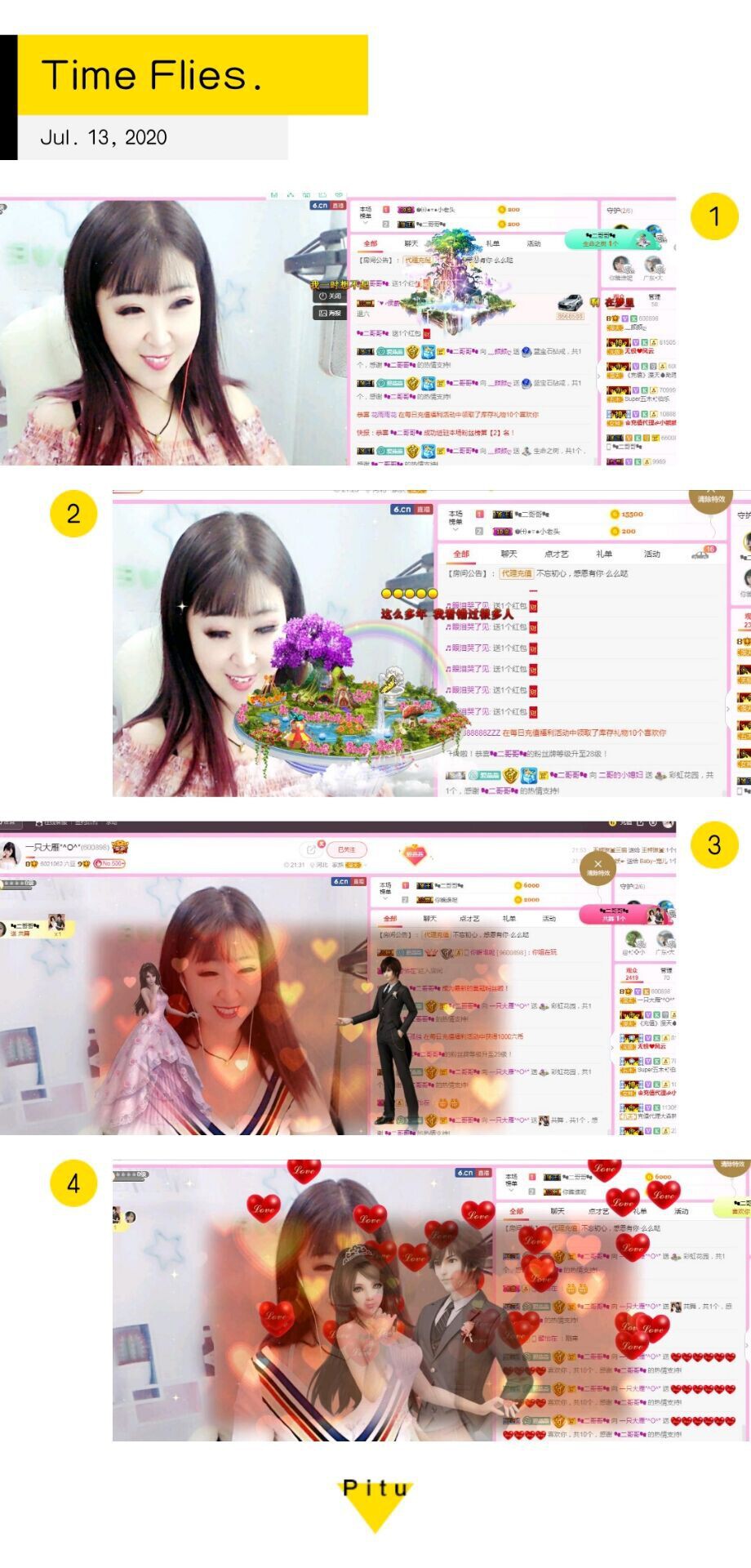 一只雁~的图片