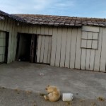种田（老农民）海报