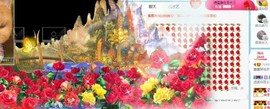 露露来过～主播照片