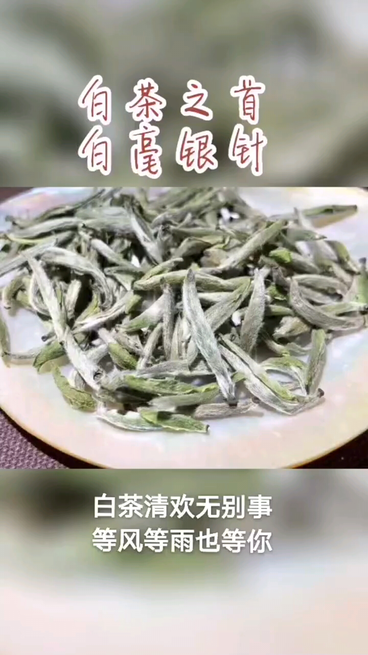感恩优秀的您在身边😘