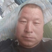 机智的参天树