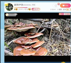 小曲一听就迷糊主播照片