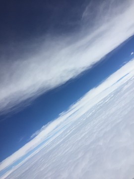 茶茶幸运星在线啦的图片