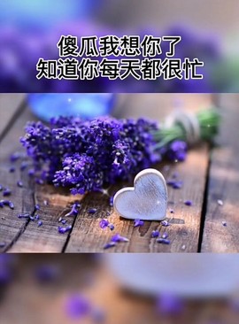 ♬默默✨小蛮宝☞🌜主播照片