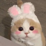 张楚岚丶