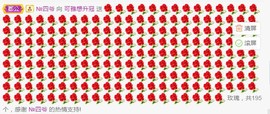 可雅吖的图片