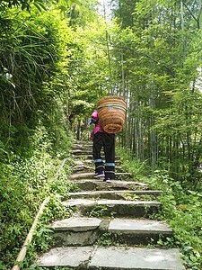 月淡人归后，卿知否主播照片