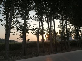 丽姐💓只静静看主播照片