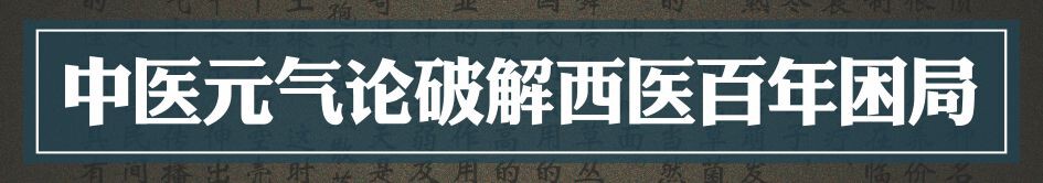 @东厂金龙@照片的图片