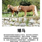 寻伊伴