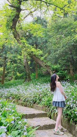 凌小仙💗主播照片