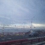 游客6540主播照片