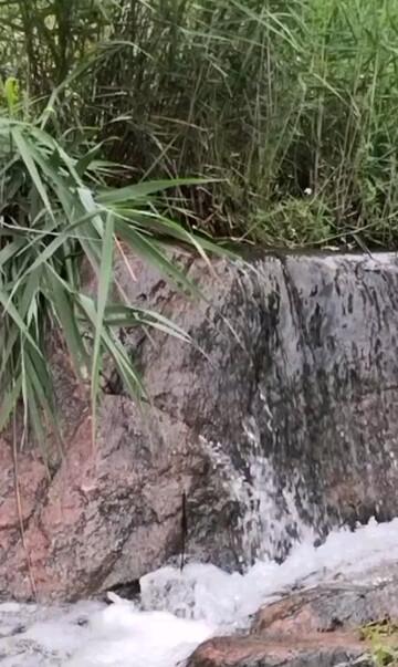 常馨谷