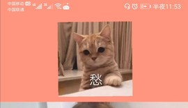 你给我温水泡枸杞的图片