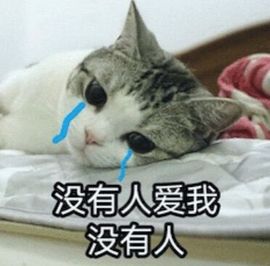肥肥小豆芽😈退了主播照片