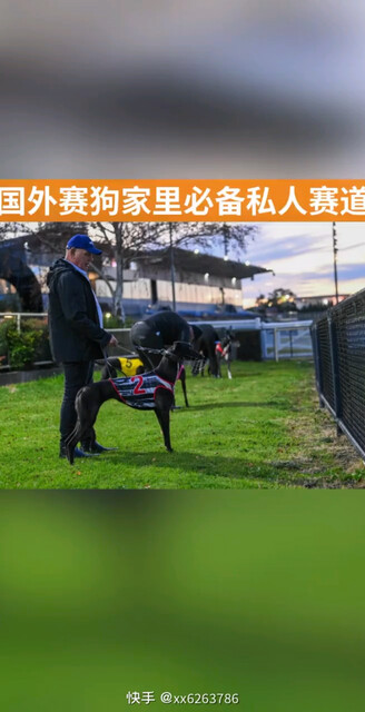 每条优秀的赛犬都经过了千锤百练